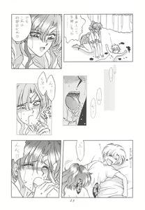 Page 23 of INDIVIDUAL 3 - 19930816 → - preview thumbnail