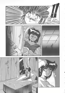 Page 29 of ONAPET MASTER - preview thumbnail