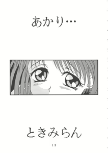 Page 11 of T.C.CAPRICORN - preview thumbnail