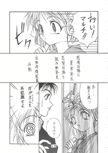 Page 17 of T.C.CAPRICORN - preview thumbnail