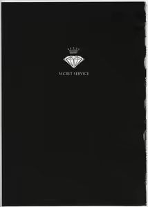 Page 4 of Secret Service - preview thumbnail