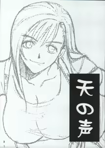 Page 3 of Ten no Koe 2 - preview thumbnail