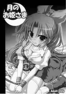 [Schwester (Shirau Inasaki) Tsuki no Ohimesama - hentai manga cover image