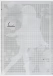 Page 3 of fake - preview thumbnail