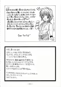 Page 85 of Mai-chan Choukyou Guide - preview thumbnail