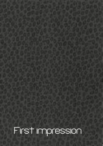 Page 10 of TRANCE FORM - preview thumbnail