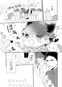 Page 12 of Iwa-chan no Neko ni Naritai 6 - preview thumbnail