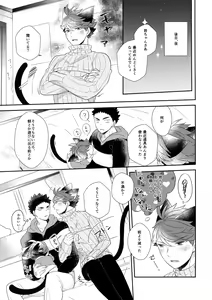 Page 34 of Iwa-chan no Neko ni Naritai 6 - preview thumbnail