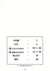 Page 3 of Ninshin Shinobu Densetsu - preview thumbnail