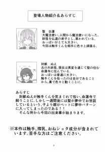 Page 3 of Hijiri Shibori - preview thumbnail