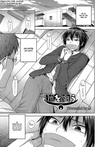 Neko o Kau — hentai manga cover on Fhentai