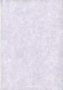 Page 33 of Kawaii Hito - preview thumbnail