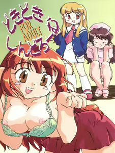 Page 40 of Doki Doki Syndrome 1998 Win - preview thumbnail