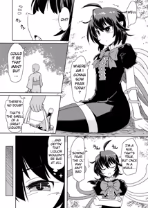 Deisuimin Nuex - hentai manga cover image