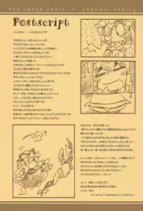 Page 17 of Touhou FUZZYPOP! - preview thumbnail