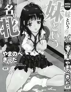 Page 3 of Imouto to Iu Na no Mesu | Sister Bitch - preview thumbnail