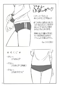 Page 3 of B-1 BLOOMER - preview thumbnail