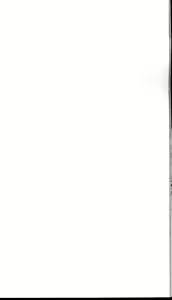 Page 36 of Doujouyaburi no Kata wa Katteguchi e Omawari Kudasai. - preview thumbnail