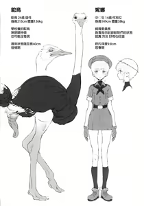 Page 3 of Tori no Kimochi Ii  - OSTRICH'S PENIS - preview thumbnail