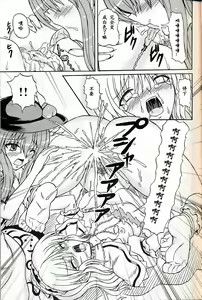 Page 14 of Touhou Youjo Ranbu 9 - preview thumbnail