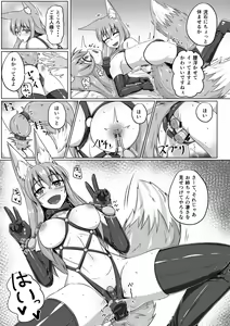 Page 8 of FOX MANIAX2 - preview thumbnail