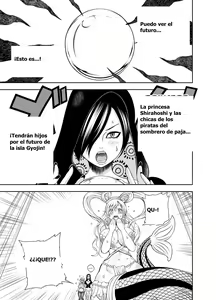 Midare Saki Ningyo Hime — hentai manga cover on Fhentai
