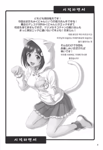 Page 3 of Majime ga Nekonyan! sono 2 | 진지한 고양이다냥! 2 - preview thumbnail