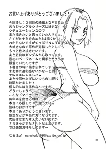 Page 40 of G3 - preview thumbnail
