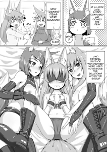 Page 13 of FOX MANIAX2 - preview thumbnail