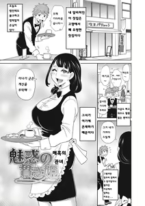 Miwaku no Tsuranuki Hime | 매혹의 관녀 — hentai manga cover on Fhentai