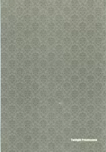 Page 13 of Twilight Prestissimo - preview thumbnail