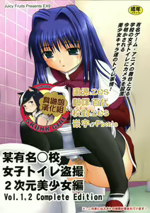 Bou Yuumei Koukou Joshi Toilet Tousatsu 2-jigen Bishoujo Hen Vol. 1, 2 Complete Edition — hentai manga cover on Fhentai