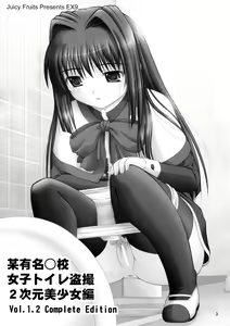 Page 5 of Bou Yuumei Koukou Joshi Toilet Tousatsu 2-jigen Bishoujo Hen Vol. 1, 2 Complete Edition - preview thumbnail