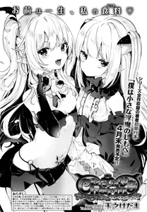 Eternity Charms — hentai manga cover on Fhentai