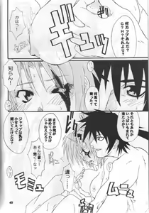 Page 4 of FCD - preview thumbnail