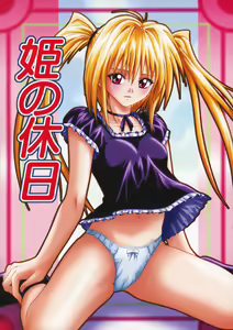 Hime no Kyuujitsu — hentai manga cover on Fhentai