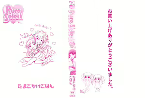 Page 4 of Pure Select - preview thumbnail