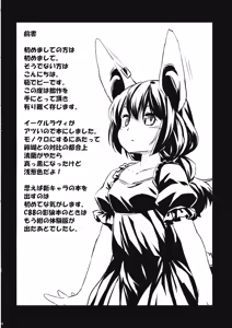 Page 3 of Speed Strike Seiran - preview thumbnail