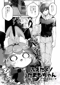 Page 5 of Fuero! Tamamo-chan! - preview thumbnail