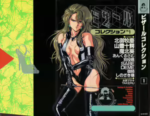 Bizarre Collection 1 — hentai manga cover on Fhentai