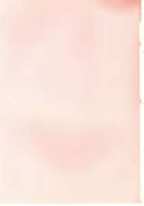 Page 5 of Magical Package - preview thumbnail