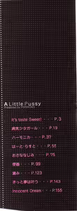 Page 3 of Chisetsu na Ana - preview thumbnail