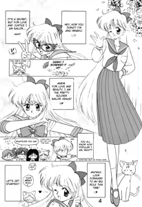 Page 3 of Submission Venus - preview thumbnail