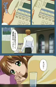 Page 13 of sei sai kanzenhan - preview thumbnail