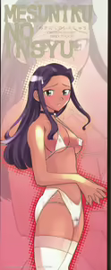 Page 3 of Mesuniku no Inshuu - preview thumbnail