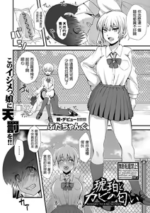 Kohaku to Kabi no Nioi — hentai manga cover on Fhentai