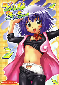 Dream Catcher — hentai manga cover on Fhentai