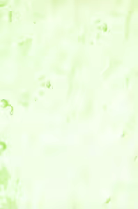 Page 3 of Btooom v05 - preview thumbnail
