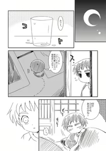 Page 3 of Apricot Maple Syrup Pie - preview thumbnail