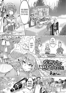 Bocchama no Aibou Maid | 도련님의 전담 메이드 — hentai manga cover on Fhentai